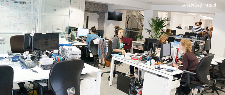 shine group shine group